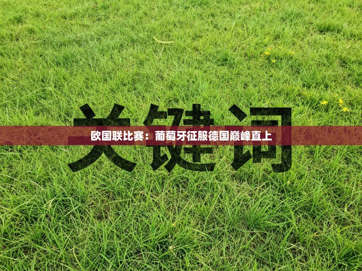 欧国联比赛：葡萄牙征服德国巅峰直上  第2张